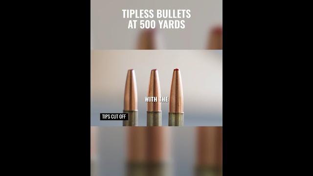 Tipless bullets at 500 yards Tipless bullets at 500 yards