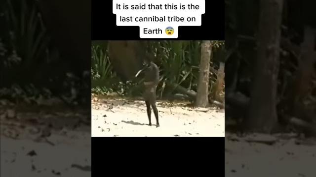 Rare videotape of north sentinel island #shorts Rare videotape of north sentinel island #shorts