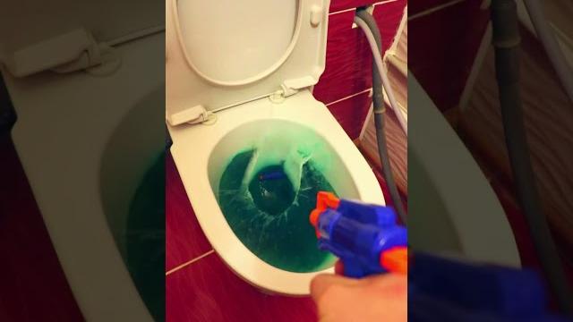 Ищу хаги ваги Ищу хаги ваги