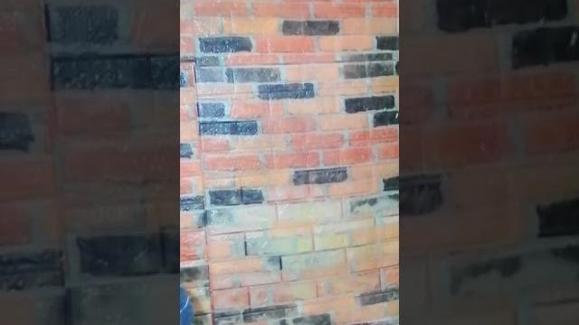 Bigo live: miss myra e. live streaming Bigo live: miss myra e. live streaming