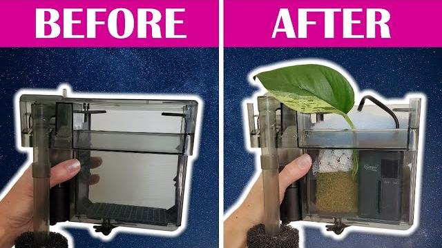 10 hacks to make the perfect hang-on-back filter 10 hacks to make the perfect hang-on-back filter