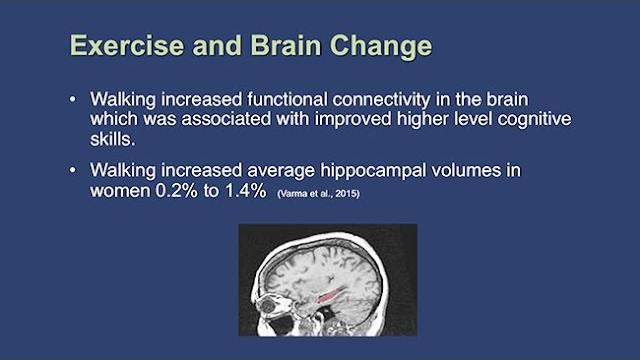 The impact of exercise on cognitive functioning The impact of exercise on cognitive functioning