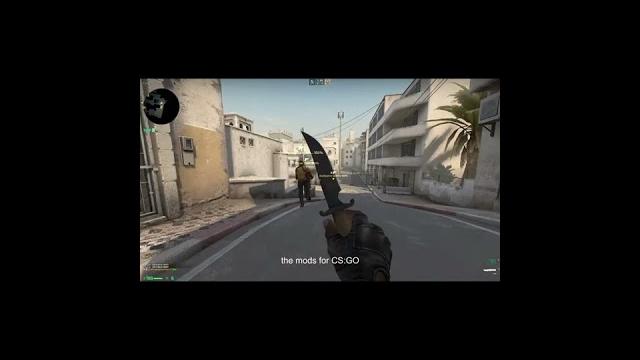 Naked lady in csgo??? Naked lady in csgo???