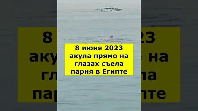 8 июня 2023 акула прямо на глазах съела парня в египте 8 июня 2023 акула прямо на глазах съела парня в египте