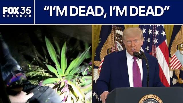 Live: no kings day anti-trump protests tomorrow | florida police shooting bodycam released Live: no kings day anti-trump protests tomorrow | florida police shooting bodycam released