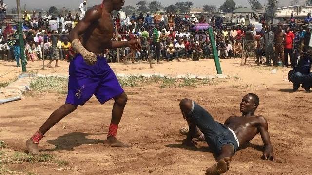 Damben dei-dei da ke abuja an ci kunamar kwado Damben dei-dei da ke abuja an ci kunamar kwado