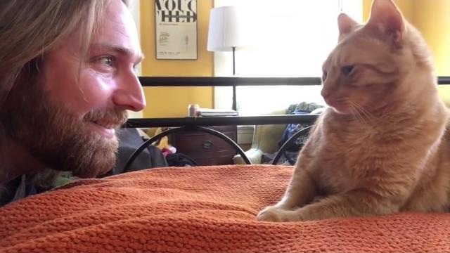 Vengeance meow Vengeance meow