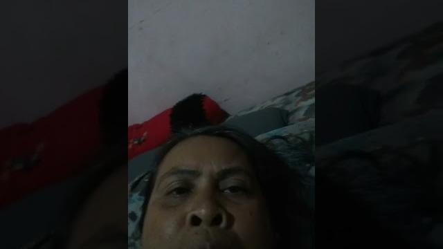 17 februari 2022 17 februari 2022