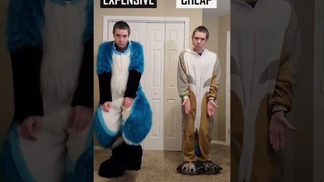 Expensive fursuit vs cheap fursuit Expensive fursuit vs cheap fursuit