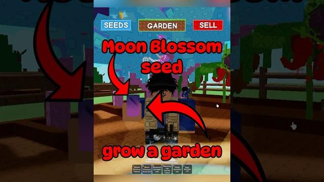 Moon blossom seed grow a garden #growagarden Moon blossom seed grow a garden #growagarden