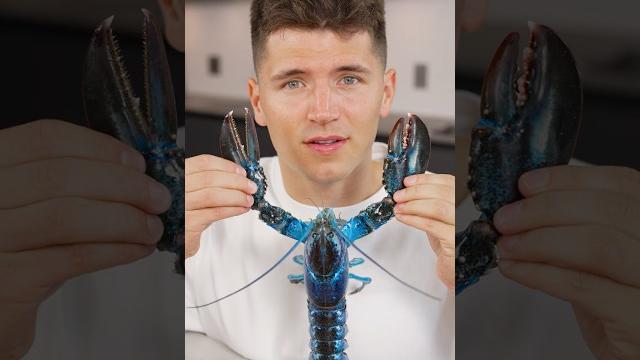 How to cook blue lobster How to cook blue lobster