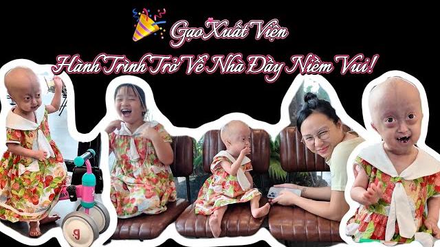 Gạo xuất viện - hành trình về nhà đầy niềm vuigao discharged from hospital - a joyful journey home Gạo xuất viện - hành trình về nhà đầy niềm vuigao discharged from hospital - a joyful journey home