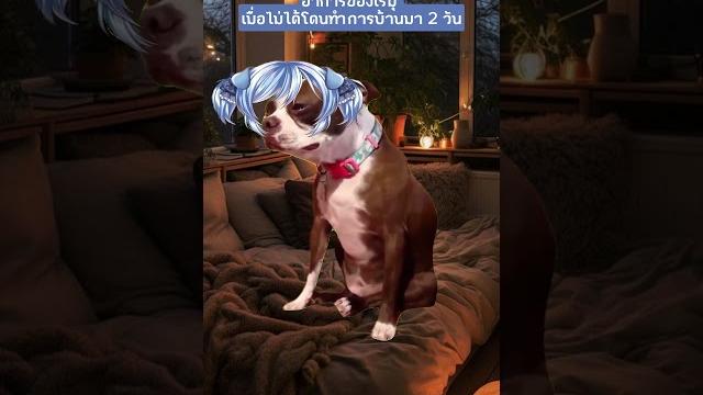 แค่วันเดียวก็เศร้าแล้ว #vtuber #vtuberth #fyp แค่วันเดียวก็เศร้าแล้ว #vtuber #vtuberth #fyp