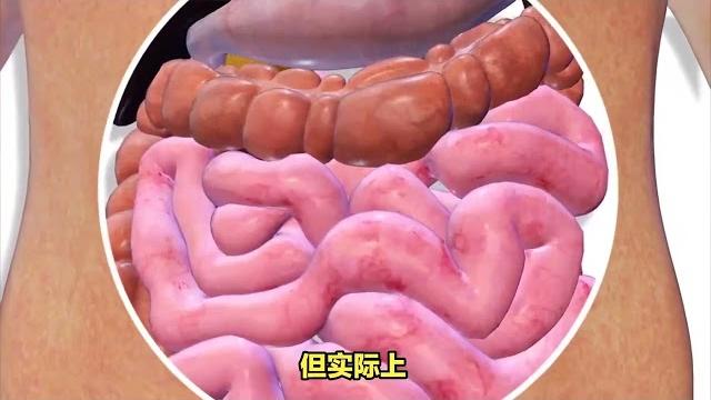 为什么不能乱抠肚脐眼?原来肚脐眼连的竟然不是肠子!涨知识了 为什么不能乱抠肚脐眼?原来肚脐眼连的竟然不是肠子!涨知识了