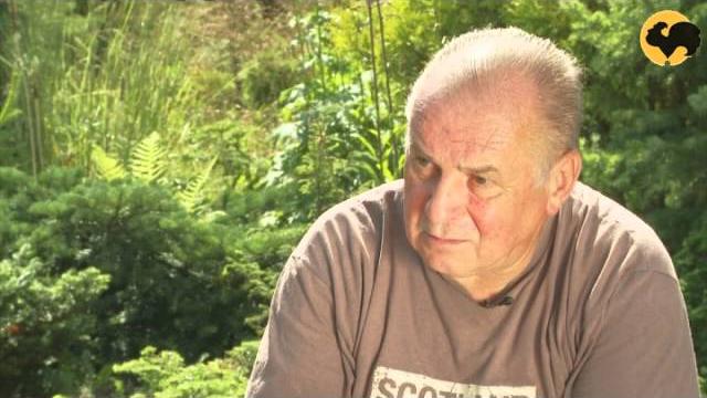 Минимализм. ландшафтные хитрости 85 Минимализм. ландшафтные хитрости 85