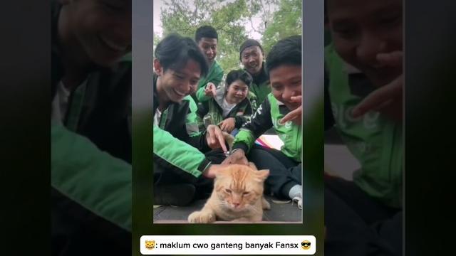Kucing dan ojol velocity Kucing dan ojol velocity