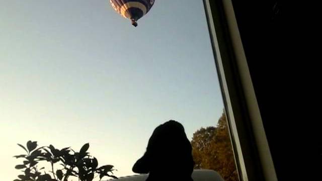 Rocky versus luchtbalon Rocky versus luchtbalon