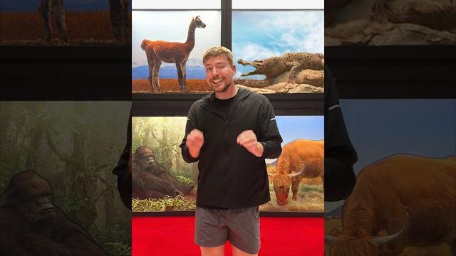 Spot the fake animal for $10,000 Spot the fake animal for $10,000