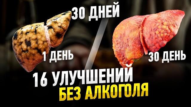 16 улучшений без алкоголя за 30 дней 16 улучшений без алкоголя за 30 дней
