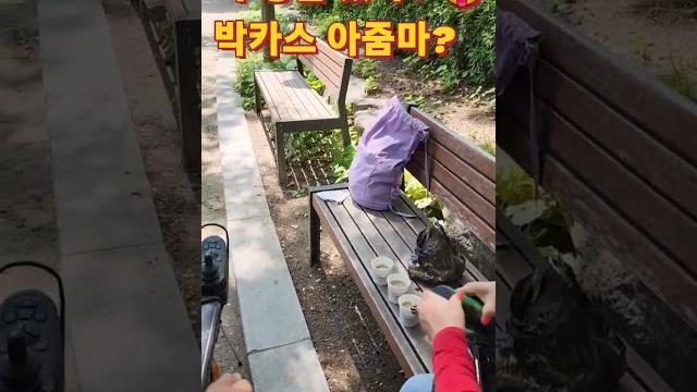 #종로탑골공원 #설마했는데 #종로탑골공원 #설마했는데