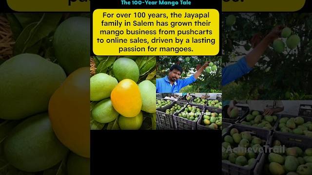 "salem’s century-old mango legacy" "salem’s century-old mango legacy"