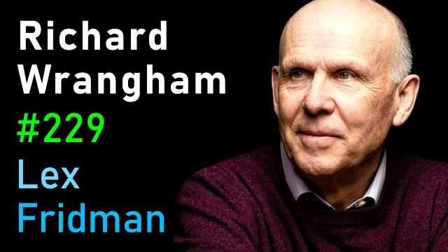 Richard wrangham: violence, sex, and fire in human evolution | lex fridman podcast #229 Richard wrangham: violence, sex, and fire in human evolution | lex fridman podcast #229