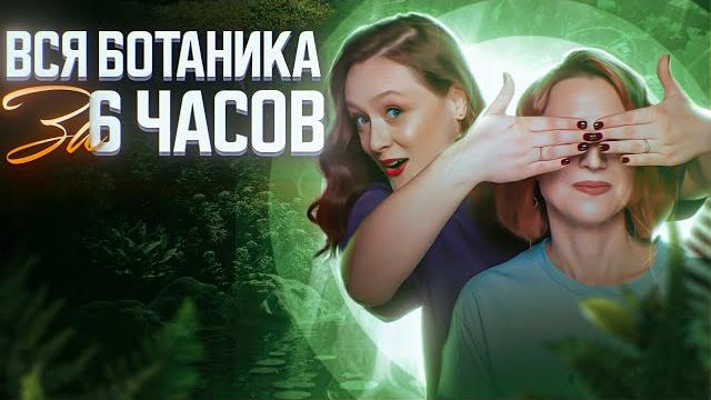 Вся ботаника за 6 часов | егэ-2025 по биологии Вся ботаника за 6 часов | егэ-2025 по биологии