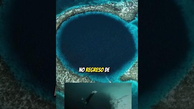 Horror en la fosa de las marianas ️ #océano #caughtoncamera Horror en la fosa de las marianas ️ #océano #caughtoncamera