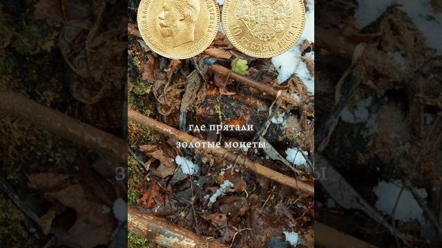 Где прятали золотые монеты открыл главный секрет‼️#xpdeus2 #металлоискатель #коп #металлокоп Где прятали золотые монеты открыл главный секрет‼️#xpdeus2 #металлоискатель #коп #металлокоп