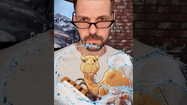 Зачем верблюду горб? что у верблюда в горбу? Зачем верблюду горб? что у верблюда в горбу?