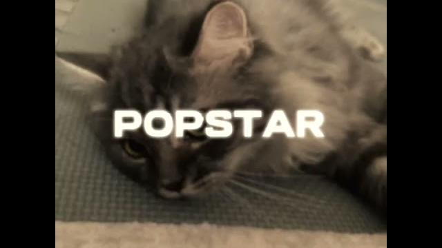 Popstar babygrey Popstar babygrey
