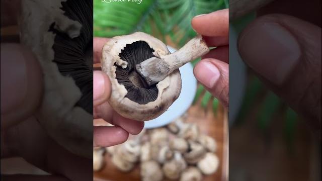 How to clean mushrooms | #shorts | | cleaning button mushrooms! kitchen hack! | tips How to clean mushrooms | #shorts | | cleaning button mushrooms! kitchen hack! | tips