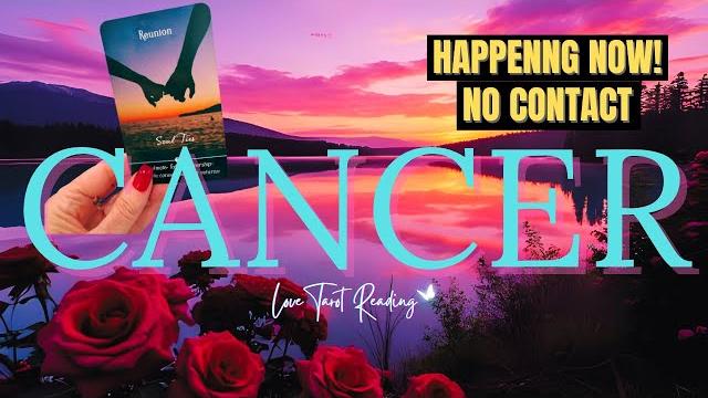 ️ cancer contact? thoughts, feelings, actions, intentions #cancer #tarot #soulmate #cancertarot ️ cancer contact? thoughts, feelings, actions, intentions #cancer #tarot #soulmate #cancertarot
