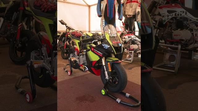 Ohvale minigp - шаг в большой мотоспорт Ohvale minigp - шаг в большой мотоспорт