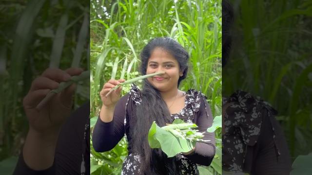 Taro leaves curry #taroleaves #recipe #shorts #viralvideo #foryou #1millionaudition #trending Taro leaves curry #taroleaves #recipe #shorts #viralvideo #foryou #1millionaudition #trending