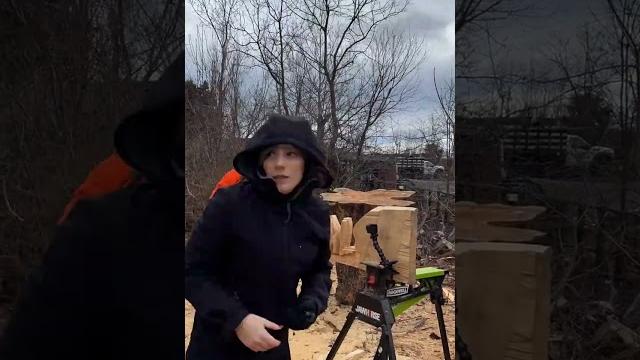 Have you ever seen a chainsaw woodcarver?! Have you ever seen a chainsaw woodcarver?!