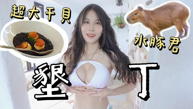墾丁必住必吃必玩|豪華海景民宿/超搶手的餐酒館!最新景點可以跟水豚君一起游泳~ 墾丁必住必吃必玩|豪華海景民宿/超搶手的餐酒館!最新景點可以跟水豚君一起游泳~