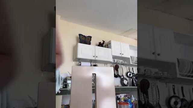 Ellen @ellp2022 tiktok live short 11-28-22 5 Ellen @ellp2022 tiktok live short 11-28-22 5