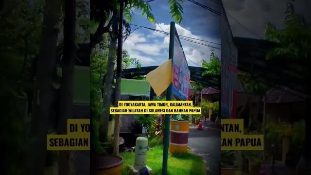 Apakah bendera kuning identik dengan simbol kematian? #elaborasi #shorts #flag #kematian #death #fyp Apakah bendera kuning identik dengan simbol kematian? #elaborasi #shorts #flag #kematian #death #fyp