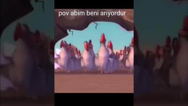 10 mayıs 2024 10 mayıs 2024