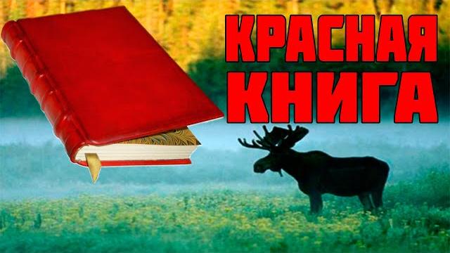 Как появилась красная книга Как появилась красная книга