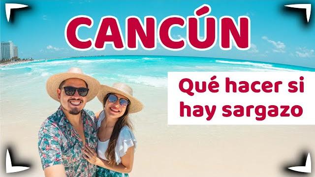 Cancun mexico guide what to do if there is sargassum ► beaches, cenotes & parks ► sin postal Cancun mexico guide what to do if there is sargassum ► beaches, cenotes & parks ► sin postal