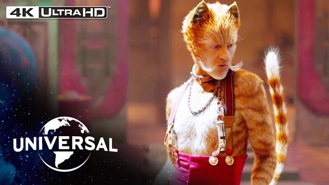 Cats | skimbleshanks the railway cat in 4k hdr Cats | skimbleshanks the railway cat in 4k hdr
