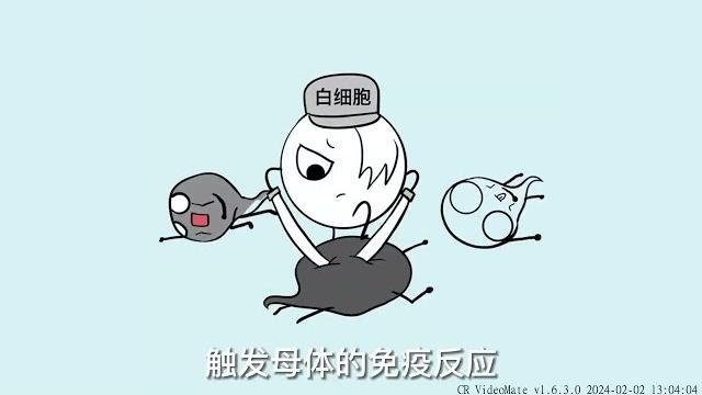 精子进入女生体内后,都会经历什么? 精子进入女生体内后,都会经历什么?