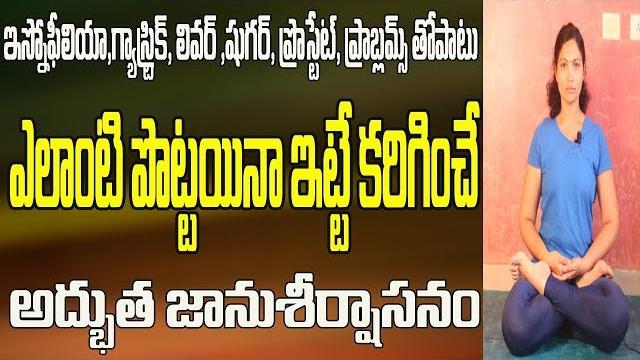 Yoga videos for beginners in telugu | yoga videos for beginners | yoga videos | yoga in telugu Yoga videos for beginners in telugu | yoga videos for beginners | yoga videos | yoga in telugu