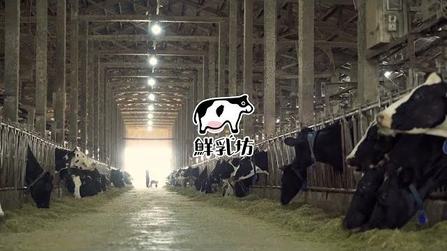 【鮮乳坊】豐樂牧場|榨乳機器人 運作紀錄大公開! 【鮮乳坊】豐樂牧場|榨乳機器人 運作紀錄大公開!