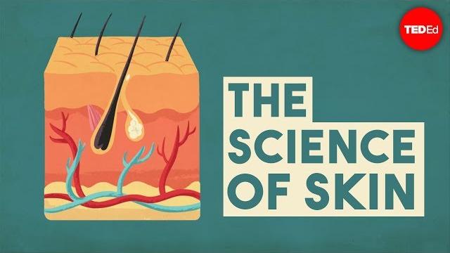 The science of skin - emma bryce The science of skin - emma bryce