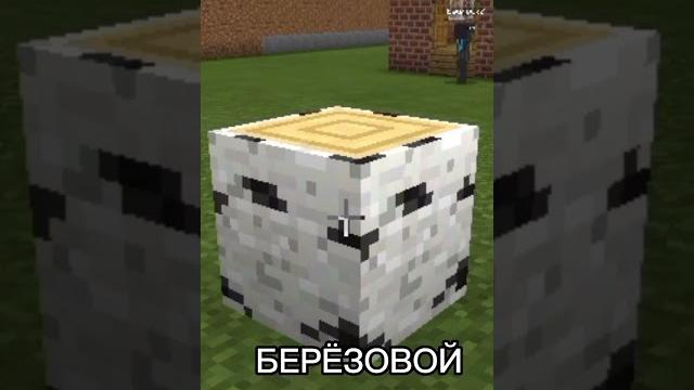 Штаны из берёзовой коры #майнкрафт #мем Штаны из берёзовой коры #майнкрафт #мем