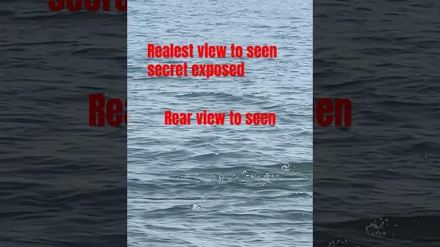Rearest view to seen secret exposed in the end#sea #water #dolphin #cuteanimals #petlover #dolphin Rearest view to seen secret exposed in the end#sea #water #dolphin #cuteanimals #petlover #dolphin
