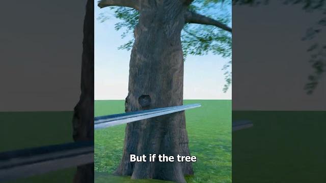 The indestructible sword paradox The indestructible sword paradox